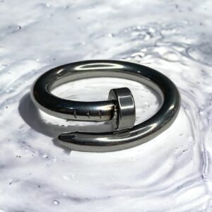 Nail Ring -Clavo-plateado